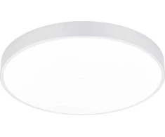 Lubinis šviestuvas Šviestuvas Trio WACO, lubinis, 52.5 W, LED