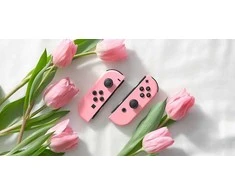 Nintendo Switch Joy-Con Pair Pastel Rožinė