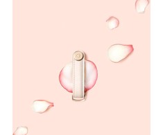 Orbitkey odinis raktų laikiklis, rožinis auksas