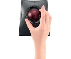 Pelė Leitz KENSINGTON SlimBlade Pro Trackball