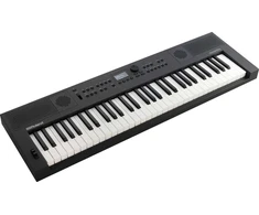 Sintezatorius Roland GO:KEYS 5 GT