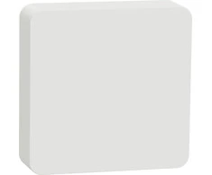 Apc Schneider Electric Wiser temperatūros ir drėgmės matuoklis