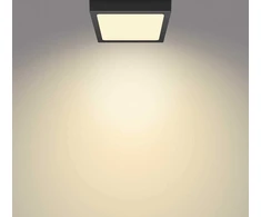 Sieninis šviestuvas Paviršinė LED panelė PHILIPS MAGNEOS, 12W, 2700K, 1150lm, juodos sp., 21 x 21 x h2,8 cm