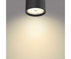 Sieninis šviestuvas Philips Lampa sufitowa Helios Star Spot 1 flg. juoda 500lm