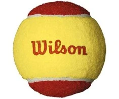 WILSON WILSON STARTER Raudonas (12) teniso kamuoliukai