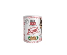 BRIT CARE Cat Superfruits Chicken skanėstai 100g