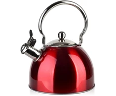 Ambition Allesken LIAM Raudonas Virdulys 2,5L