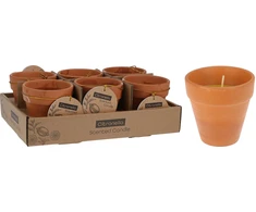 Mondex 9 CM CITRONELOS VAŠKO ŽVAKĖ INDE