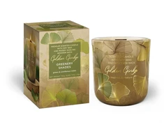 Mondex Kvapioji žvakė stiklinėje GOLDEN GINKO 150g ŽALUMYNŲ ATSPALVIŲ
