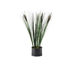 Mondex Dirbtinė gėlė Žolė vazone 12,5x54cm rusva-žalia gėlės