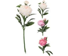 Mondex Dirbtinė gėlė PEONY, 3 spalvos, 17 cm