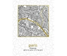 Mondex Obraz 45x60x1,8cm PLAN MIASTA PARIS Išpardavimas