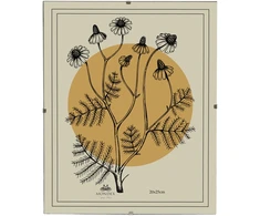 Nuotraukų rėmelis Affek Design ADI rėmelis 20x25 cm stiklinis spaustukas