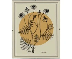 Nuotraukų rėmelis Affek Design Mondex Since 1986 ADI rėmas 20x25 cm apsauga nuo rėmo stiklo