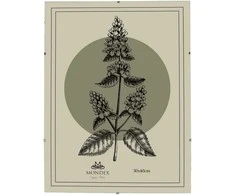 Nuotraukų rėmelis Mondex Since 1986 ADI Ramka 30x40 cm Antyrama