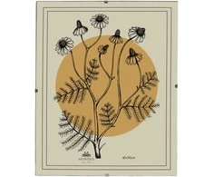 Nuotraukų rėmelis Mondex Since 1986 ADI Ramka 40x50 cm Antyrama