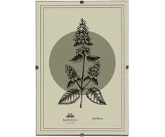 Nuotraukų rėmelis Mondex Since 1986 ADI rėmas 60x90 cm Antyrama
