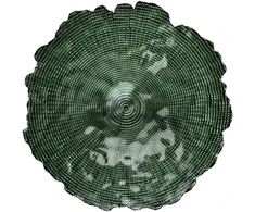 Mondex Since 1986 GREENIE Tortinė 28x28x14 cm