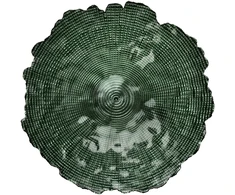 Mondex Since 1986 GREENIE Tortinė 28x28x14cm