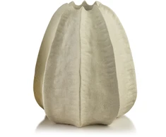 Mondex Since 1986 MANON Wazon 17x26cm