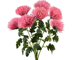 Mondex Since 1986 VIRIDIS 7 chrizantemų puokštė 57 cm rožinė