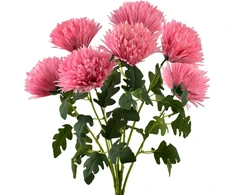 Mondex Since 1986 VIRIDIS 7 chrizantemų puokštė 57 cm rožinė