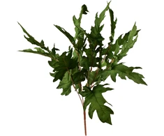 Mondex Since 1986 VIRIDIS 5 lapų puokštė 57 cm