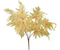 Mondex Since 1986 VIRIDIS 5 lapų puokštė 57 cm