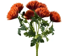 Mondex Since 1986 VIRIDIS 7 chrizantemų puokštė 57 cm