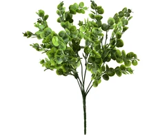 Mondex Since 1986 VIRIDIS Buksmedžio puokštė 37 cm
