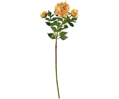 Mondex Since 1986 VIRIDIS chrizantema (x3) šakelė 70cm