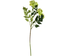 Mondex Since 1986 VIRIDIS chrizantema (x3) šakelė 70cm