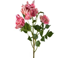 Mondex Since 1986 VIRIDIS chrizantema (x3) šakelė 70cm