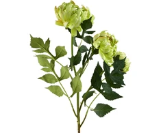 Mondex Since 1986 VIRIDIS chrizantema (x3) šakelė 70cm