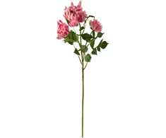 Mondex Since 1986 VIRIDIS chrizantema (x3) šakelė 70cm