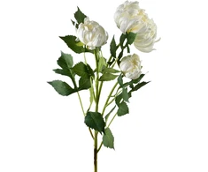 Mondex Since 1986 VIRIDIS chrizantema (x3) šakelė 70cm
