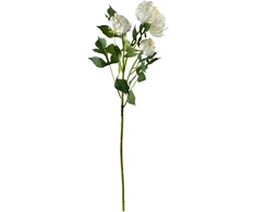 Mondex Since 1986 VIRIDIS chrizantema (x3) šakelė 70cm