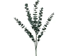 Mondex Since 1986 VIRIDIS Dirbtinė gėlė Eukaliptas 80cm