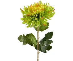 Mondex Since 1986 VIRIDIS dirbtinė gėlė chrizantema 75 cm žalia