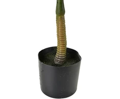 Mondex Since 1986 VIRIDIS Dirbtinė gėlė palmė žema 13x12x57cm vazone