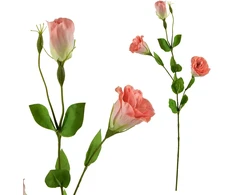 Mondex Since 1986 VIRIDIS Dirbtinė gėlė Eustoma 70cm gumuota