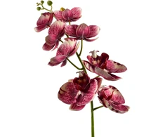 Mondex Since 1986 VIRIDIS dirbtinė gėlė orchidėja 85 cm