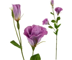 Mondex Since 1986 VIRIDIS Dirbtinė gėlė Eustoma 70cm gumuota