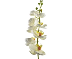 Mondex Since 1986 VIRIDIS dirbtinė gėlė orchidėja 85 cm balta