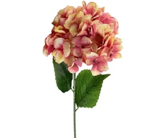 Mondex Since 1986 VIRIDIS Dirbtinė gėlė HYDRENSION 73cm