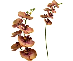 Mondex Since 1986 VIRIDIS dirbtinė gėlė orchidėja 85 cm