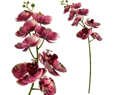 Mondex Since 1986 VIRIDIS dirbtinė gėlė orchidėja 85 cm
