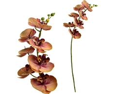 Mondex Since 1986 VIRIDIS dirbtinė gėlė orchidėja 85 cm