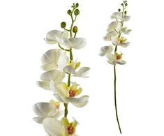 Mondex Since 1986 VIRIDIS dirbtinė gėlė orchidėja 85 cm balta