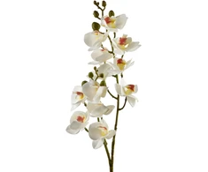 Mondex Since 1986 VIRIDIS dirbtinė gėlė orchidėja 65 cm
